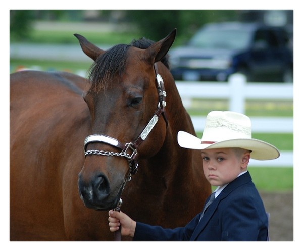 Little Man - Big Horse