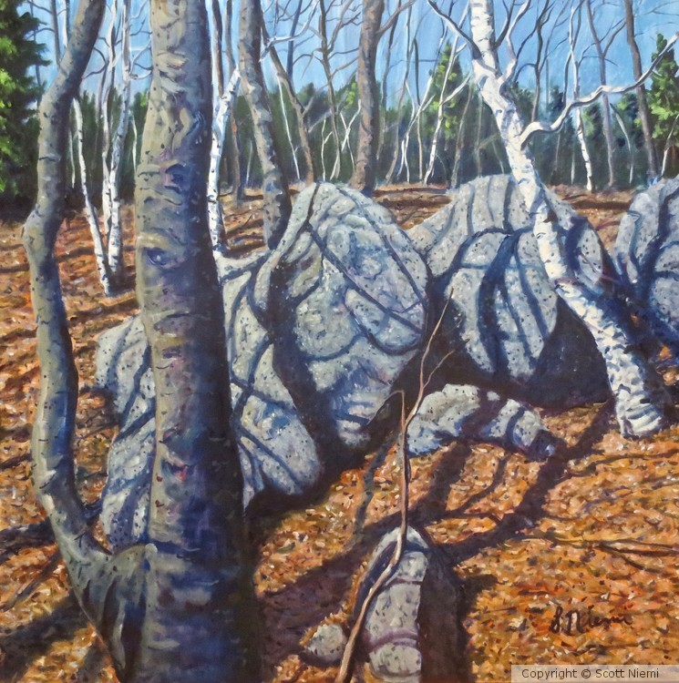 'Beeches, Birches, and Boulders