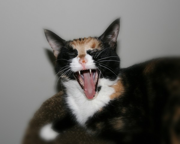 AHHHH I'm Tired!!!