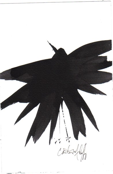crow 2