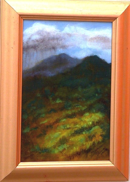 High Mountain Meadows