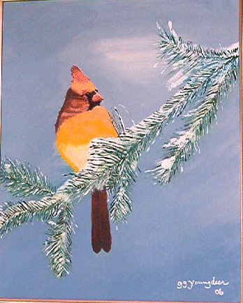 Redbird cold morning