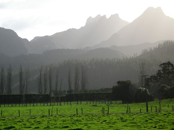 Afternoon Mist