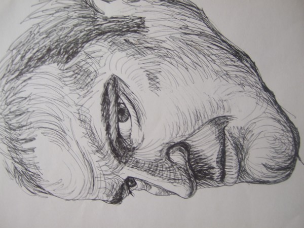 Pictureaug2011 216