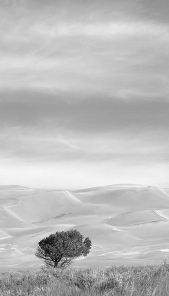 Solitary