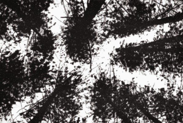 looking up