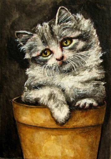 Kitten original aceo painting