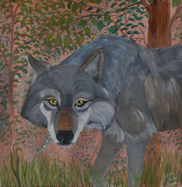Old Wolf Straggles Through the Forrest