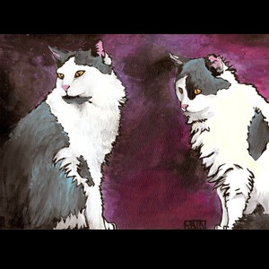 Kitties in the window