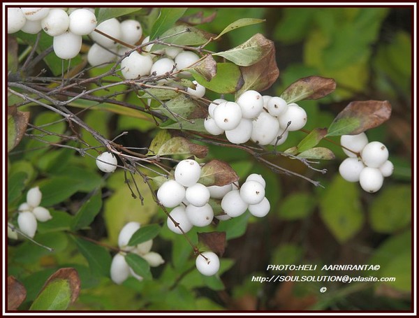..colorful purity:=))