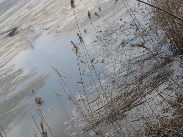 4 SEASONS/SPRING/ICE/SNOW 2010
