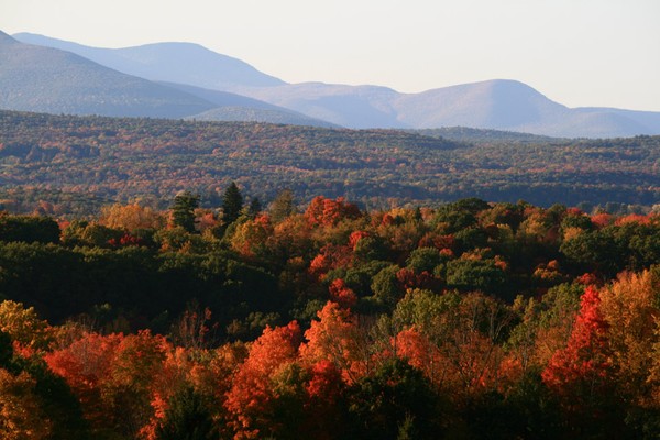 Middle Catskills and Foliage