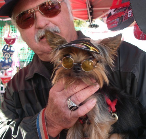 Dog With Cool Sunglasses