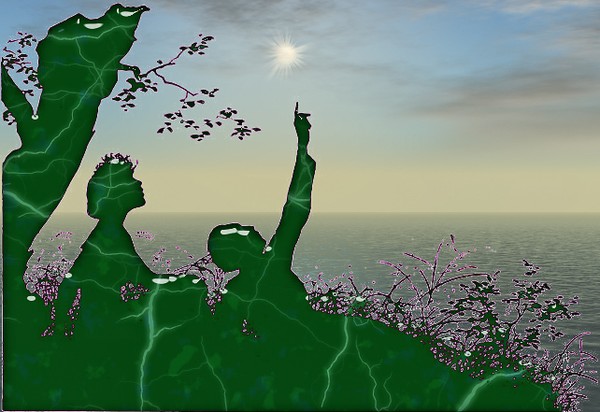 Wish Upon A Star