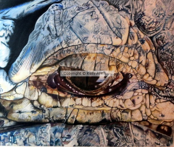 Alligator Eye