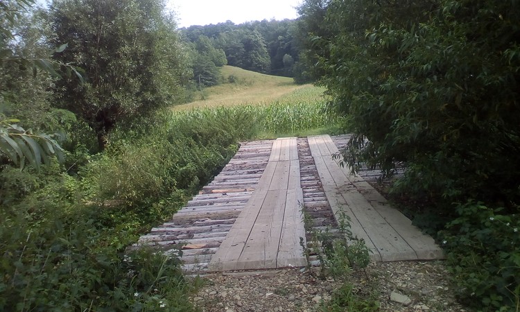 Wood bridge