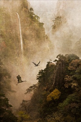 Cranes at Huang Shan, 7.5x10 Photograph 