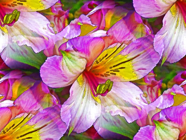 Have A Beautiful Week