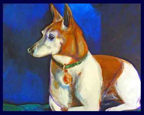 Molly jack Russell
