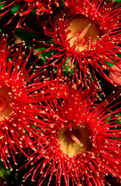Red Hot III: 