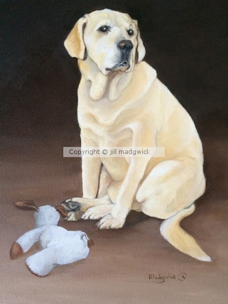 Joe & his toy