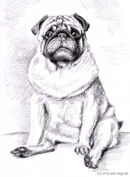 The Pug - Der Mops