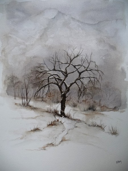 Solitude
