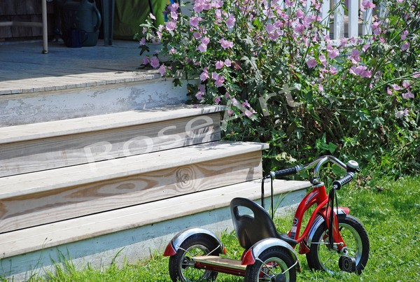 Tricycle