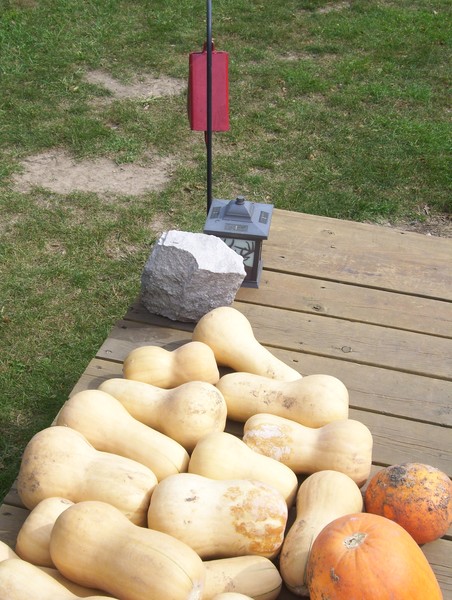 gourds