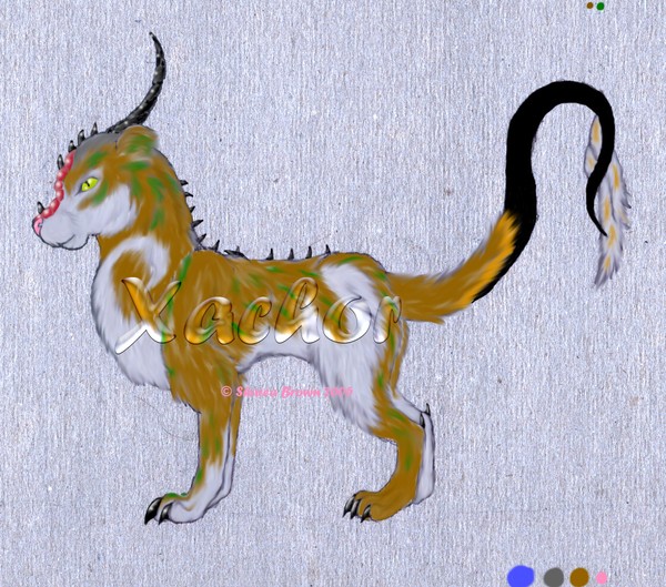 Xachor