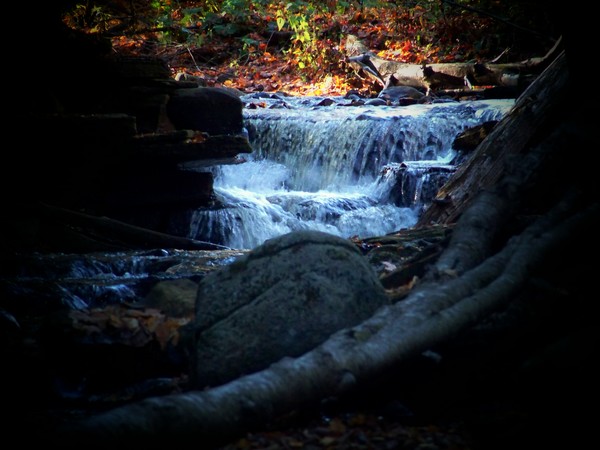 Mountain Stream