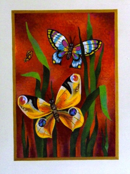 Butterflies