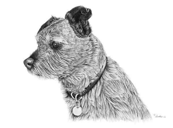 Raggy Dog