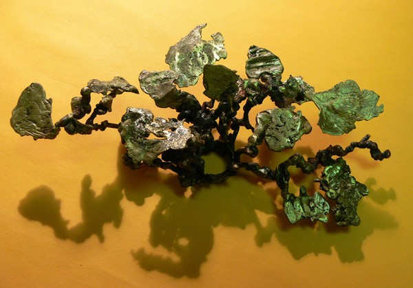 tree-leaves
