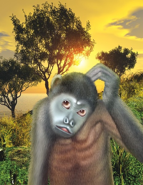 Mantled Howler Monkey