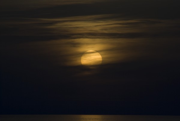 Bronze Sun