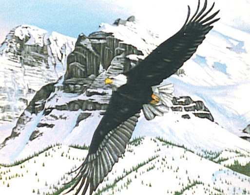 Eagle Flight
