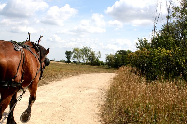 riding a horse-farm
