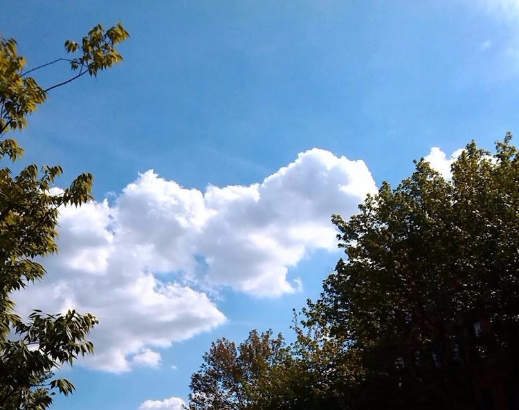 Blue, White, and Green