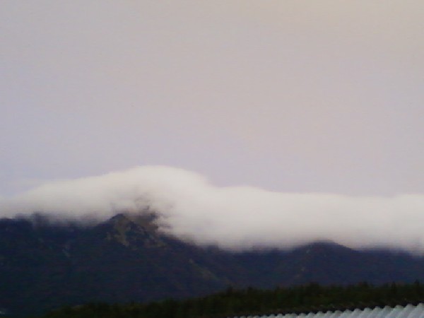 Foggy Stampedo