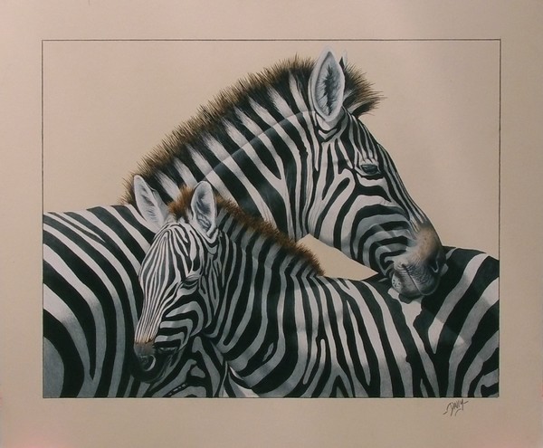 Zebras