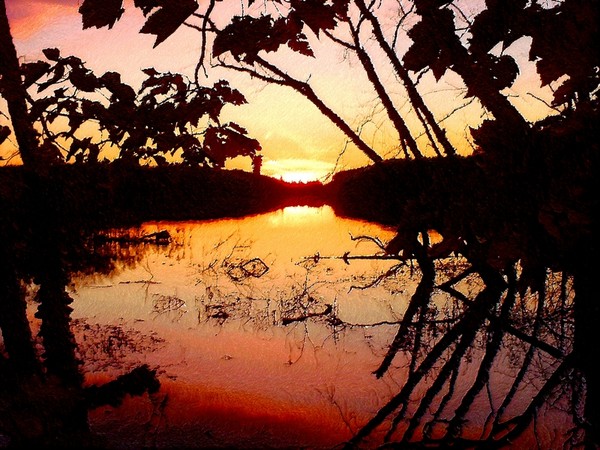The darkness of the fading light