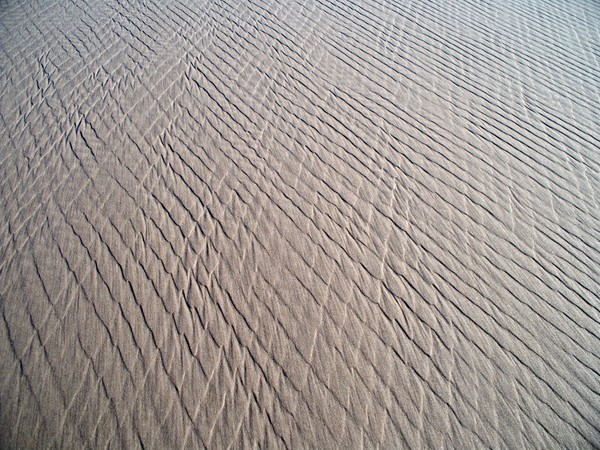 sand's skin