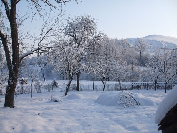 winter at country