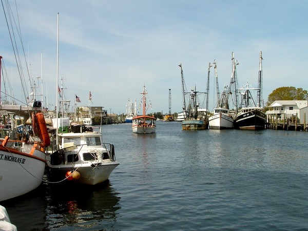Tarpon Springs 