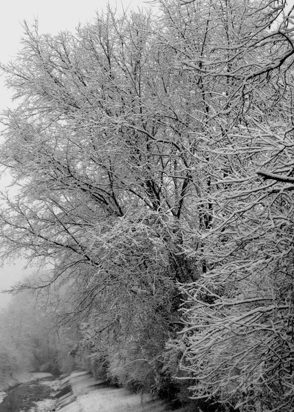 DSC00338