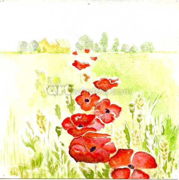 Field of poppies