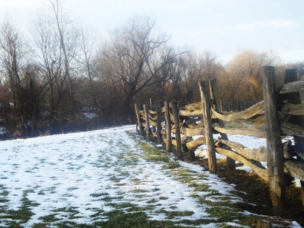 fence