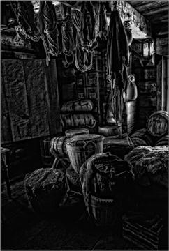 fortross-043