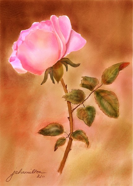 Glowing Rose